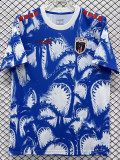 26/27 Cape Verde Blue Pre-match training shirts