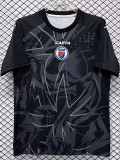26/27 Haïti Special Edition Black Fans Soccer Jersey