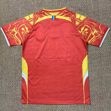 26/27 Congo Third Fans Soccer Jersey