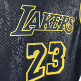 LAKERS JAMES#23 Snakeskin Black Kids Top Quality Hot Pressing NBA Jersey(童装)