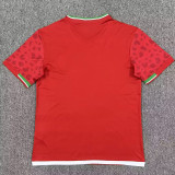 26/27 Iran Away Fans Soccer Jersey