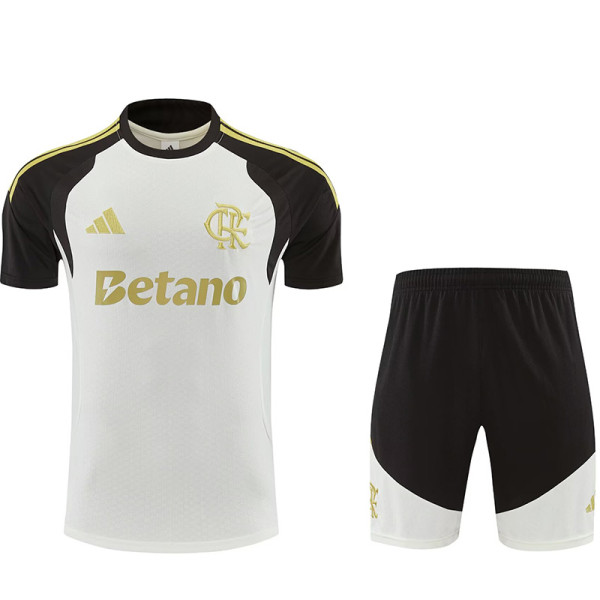26/27 Flamengo khaki Training Shorts Suit