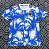 26/27 Haïti Blue Pre matchTraining Shirts