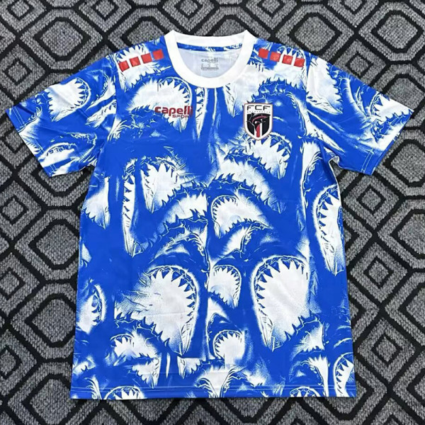 26/27 Haïti Blue Pre matchTraining Shirts