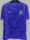 26/27 BaHia Goalkeeper Purple Fans Soccer Jersey
