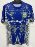 26/27 Palmeiras Goalkeeper Blue Fans Soccer Jersey