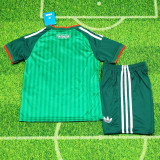 2026 Algeria Away Kids Soccer Jersey(二星)