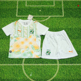 26/27 Ivory Coast Away Kids Soccer Jersey