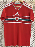 26/27 Wales Home Fans Soccer Jersey