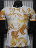 26/27 Argentina Golden Feather Special Edition Player Version Soccer Jersey