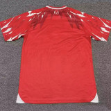26/27 Tunisia Away Fans Soccer Jersey