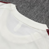 26/27 Spain Beige Training Short Suit