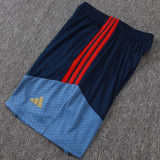 26/27 Bayern Royal Blue Tank top and shorts suit# D26041