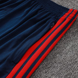26/27 Bayern Royal Blue Tank top and shorts suit# D26041