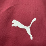 26/27 Portugal Red Leisure quick drying Men's Polo-shirt Top#PL7702
