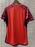 24/25 Spain Home Red Fans Soccer Jersey