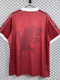 1998/1999Torino Home Retro Soccer Jersey