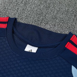 26/27 Bayern Royal Blue Training Shorts Suit