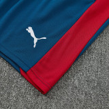 26/27 Portugal Red Training Short Suit(带广告)