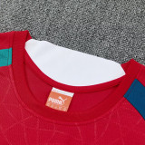 26/27 Portugal Red Training Short Suit(带广告)