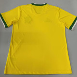 26/27 Flamengo Special Edition Yellow Fans Soccer Jersey