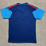 26/27 Spain Royal Blue Half Pull Polp Training Shirts(半拉翻领)