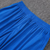26/27 France Blue Player Version Shorts Pants