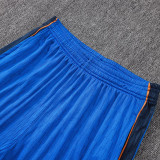 26/27 Spain Blue Player Version Pants