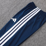 26/27 AD Summer Thin Edition Light Royal Blue Pants  #C2601