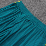 26/27 Brazil Green Player Version Shorts Pants