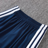 26/27 AD Summer Thin Edition Light Royal Blue Pants  #C2601