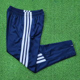 26/27 AD Summer Thin Edition Light Royal Blue Pants  #C2601