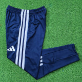 26/27 AD Summer Thin Edition Light Royal Blue Pants  #C2601