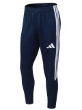 26/27 AD Summer Thin Edition Light Royal Blue Pants  #C2601