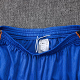 26/27 Spain Blue Player Version Pants