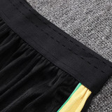 26/27 Brazil Black Player Version Pants