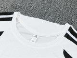 26/27 LIV White Training sleeve Black Shorts Suit