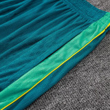 26/27 Brazil Lake Blue Player Version Training sleeve Shorts Suit