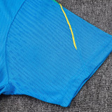 26/27 Brazil Lake Blue Player Version Training Shirts