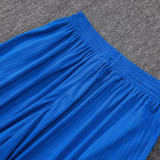26/27 France  Blue Player Version Blue Tank top Shorts Suit