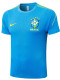 26/27 Brazil Lake Blue Player Version Training Shirts