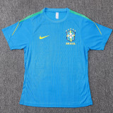 26/27 Brazil Player Version Lake BlueTraining Shirts Green Pants Suit