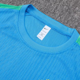 26/27 Brazil Player Version Lake BlueTraining Shirts Green Pants Suit