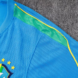 26/27 Brazil Lake Blue Player Version Training Shirts