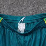 26/27 Brazil Player Version Lake BlueTraining Shirts Green Pants Suit