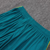 26/27 Brazil Player Version Lake Blue Tank top and Green shorts suit