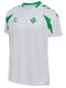 26/27 Real Betis White Fans  Soccer Jersey