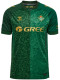 26/27 Real Betis Green Fans  Soccer Jersey