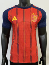 26/27 Spain Home 2star Player Version Soccer Jersey(两星)