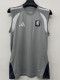 26/27 Aston Villa Grey Vest Shirt